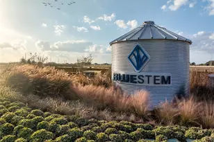 3001 Mistflower Trl, Brookshire, TX 77423 - Photo 23