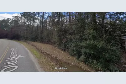 20224 Old Houston Road, Porter, TX 77365 - Photo 5