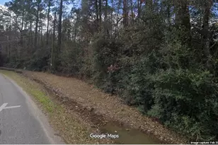 20224 Old Houston Rd, Porter, TX 77365 - Photo 5