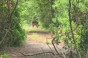 0 Cottonwood Cove Ln, Spring, TX 77380 - Photo 3