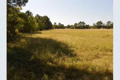 Tbd Turner Street, Groveton, TX 75845 - Photo 1