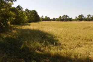 Tbd Turner St, Groveton, TX 75845 - Photo 1