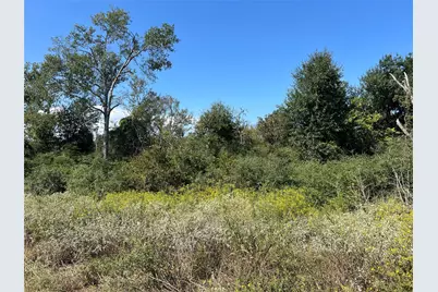 000 Cr 322, Jewett, TX 75846 - Photo 3