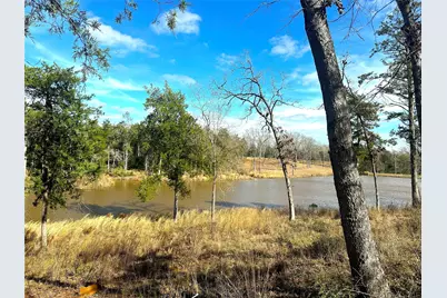 000 Cr 494, Jewett, TX 75846 - Photo 1