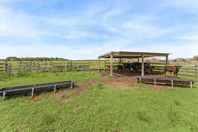 3850 Fm 2917 Road, Alvin, TX 77511 - Photo 29
