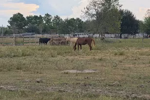 36847 Richard Frey Dr, Hempstead, TX 77445 - Photo 1