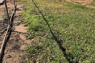 N Ave S, Freeport, TX 77541 - Photo 1