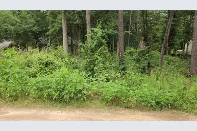 Lot 38 White Oak Drive, Plantersville, TX 77363 - Photo 15