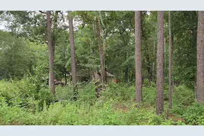 Lot 38 White Oak Drive, Plantersville, TX 77363 - Photo 17