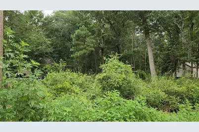 Lot 38 White Oak Drive, Plantersville, TX 77363 - Photo 11
