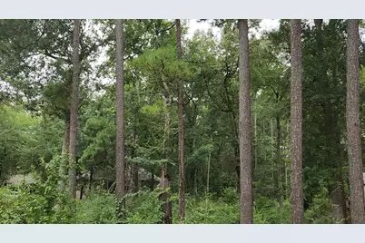 Lot 38 White Oak Drive, Plantersville, TX 77363 - Photo 1