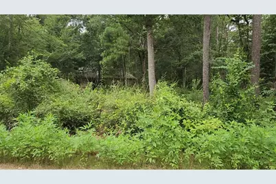 Lot 38 White Oak Drive, Plantersville, TX 77363 - Photo 13