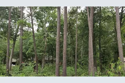 Lot 38 White Oak Drive, Plantersville, TX 77363 - Photo 19
