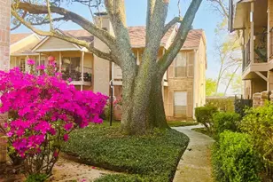 2800 Jeanetta St, Houston, TX 77063 - Photo 3