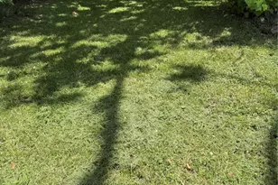 6728 Goforth St, Houston, TX 76021 - Photo 3