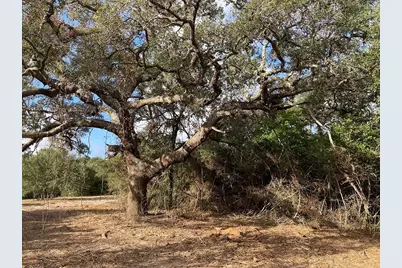 Tbd Loose Cow Rd, Garwood, TX 77442 - Photo 7