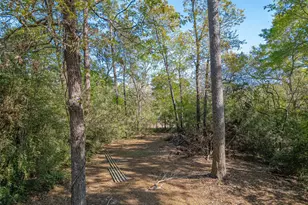 11690 S Ridgeway Dr, Willis, TX 77318 - Photo 9
