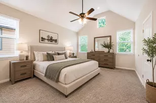 228 Cheswood Forest Pl, Montgomery, TX 77316 - Photo 3