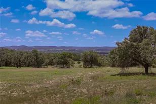 369 Sakewitz, Comfort, TX 78013 - Photo 23