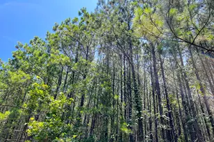 9 Bayou Rd, Milam, TX 75948 - Photo 1