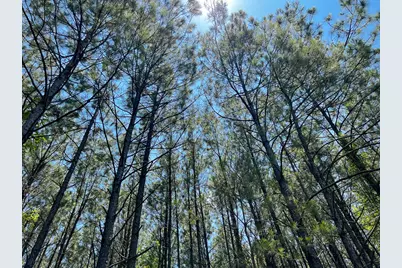 9 Bayou Road, Milam, TX 75948 - Photo 3