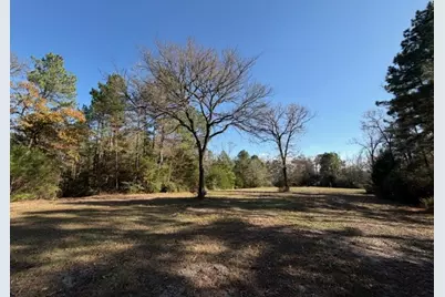 19 Ac Pr 1429, Centerville, TX 75833 - Photo 3