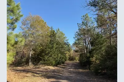 19 Ac Pr 1429, Centerville, TX 75833 - Photo 5