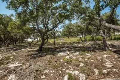 2081 Passare, New Braunfels, TX 78132 - Photo 7