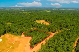 26411 Old Head Trail, Montgomery, TX 77316 - Photo 3