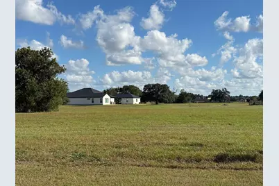 914 Lily Lane, Rosharon, TX 77583 - Photo 9