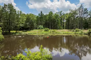 365 Fcr 971, Mexia, TX 76667 - Photo 45