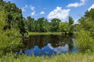 365 Fcr 971, Mexia, TX 76667 - Photo 37