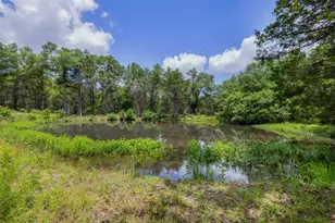 365 Fcr 971, Mexia, TX 76667 - Photo 9