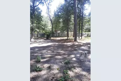 21060 Patricia Lane, New Caney, TX 77357 - Photo 15