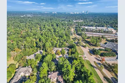 83 Scarlet Woods Court #83, The Woodlands, TX 77380 - Photo 31