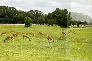 126 Lakeland Cir, Rosharon, TX 77583 - Photo 47