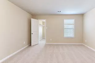 321 Terra Vis Cir, Montgomery, TX 77356 - Photo 39