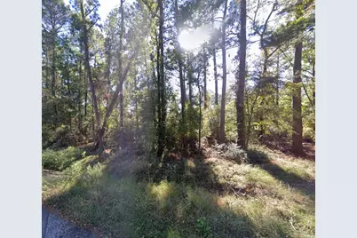 Tbd Parkview Dr Drive, Onalaska, TX 77360 - Photo 1