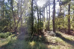 Tbd Parkview Dr Dr, Onalaska, TX 77360 - Photo 1