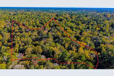 Tbd Rolling Ridge Road, Goodrich, TX 77335 - Photo 1