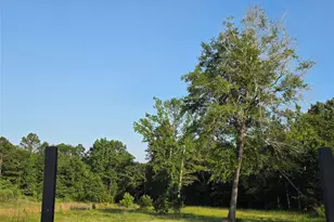 1322 Rd 5263, Cleveland, TX 77327 - Photo 3