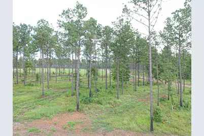 007 Nelson Dr, Livingston, TX 77351 - Photo 7