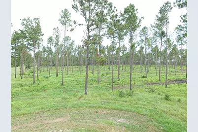 007 Nelson Dr, Livingston, TX 77351 - Photo 5