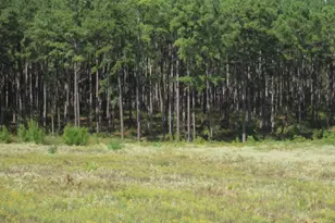 000 21 Fm256 N, Woodville, TX 75979 - Photo 1