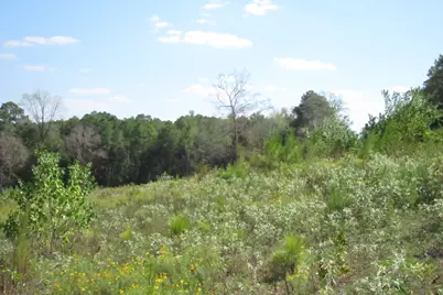 000 21 Fm256 N, Woodville, TX 75979 - Photo 3