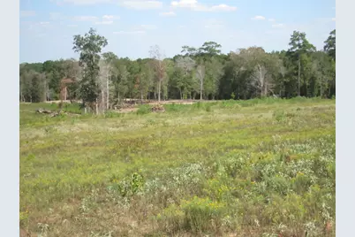 000 21 Fm256 N, Woodville, TX 75979 - Photo 5