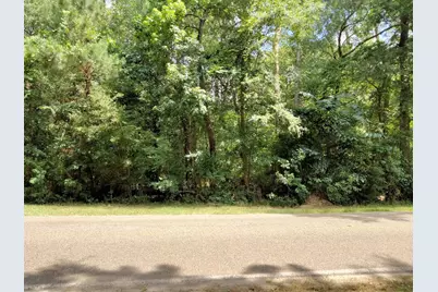 19300 Mount Pleasant Road, Montgomery, TX 77356 - Photo 3