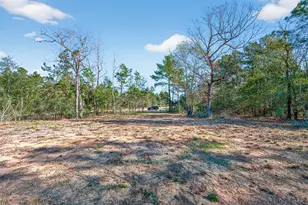 7629 Trinity Pnes Dr, Montgomery, TX 77316 - Photo 5