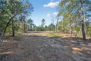 7629 Trinity Pnes Dr, Montgomery, TX 77316 - Photo 3