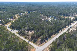 7629 Trinity Pnes Dr, Montgomery, TX 77316 - Photo 1